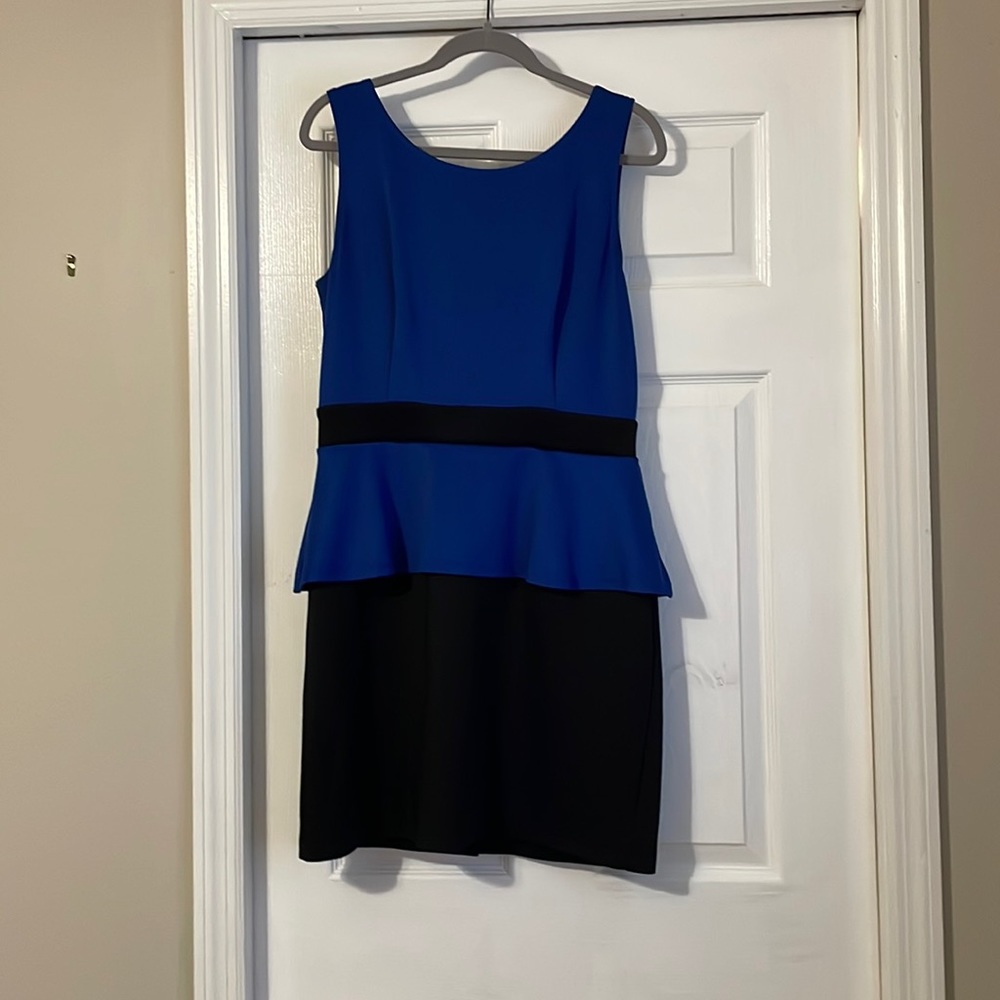 Blue and Black pencil dress.